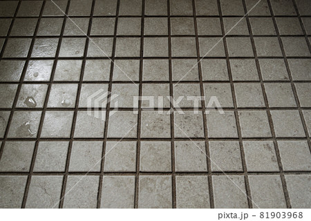 浴室床タイルの背景素材 浴室床タイルの背景素材 81903968