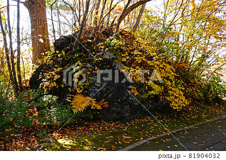 北海道 大沼公園 北海道 大沼公園 81904032