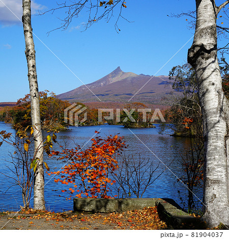 北海道 大沼公園 北海道 大沼公園 81904037