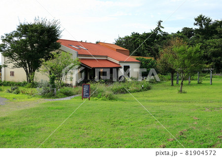 カーブドッチ　ワイナリー 81904572