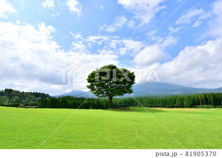 南阿蘇風景 月廻り公園 らくだ山 熊本県高森町高森 南阿蘇風景 月廻り公園 らくだ山 熊本県高森町高森 81905370