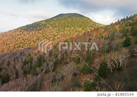 八甲田山 ロープウエイ 八甲田山 ロープウエイ 81905534