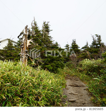 八甲田山 ロープウエイ 八甲田山 ロープウエイ 81905605