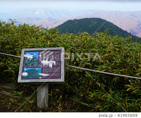 八甲田山　ロープウエイ 81905609