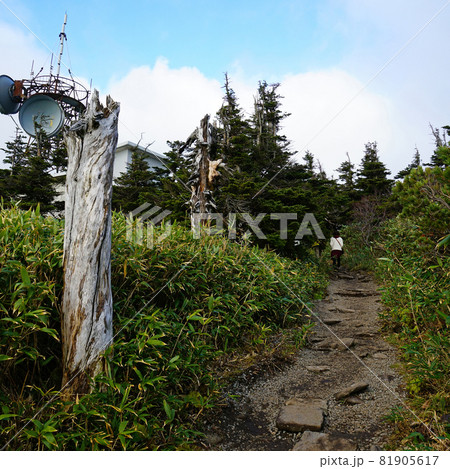 八甲田山 ロープウエイ 八甲田山 ロープウエイ 81905617
