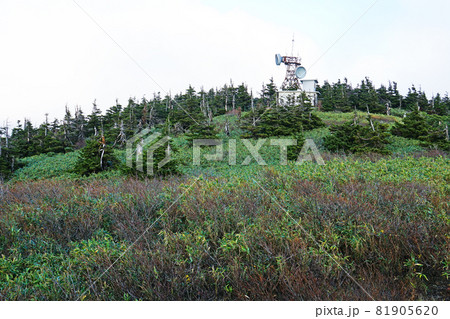 八甲田山　ロープウエイ 81905620