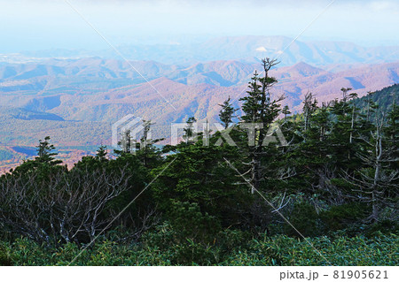 八甲田山 ロープウエイ 八甲田山 ロープウエイ 81905621