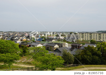 横須賀城跡から見た市街地 静岡県掛川市 横須賀城跡から見た市街地 静岡県掛川市 81905730