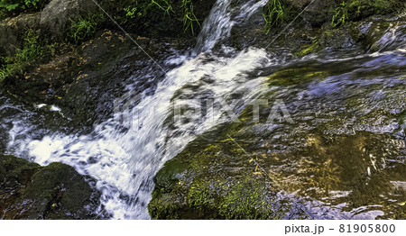 La Petite Cascade - The Little Waterfall of the Cance and Canon rivers - Le Neufbourg, France La Petite Cascade - The Little Waterfall of the Cance and Canon rivers - Le Neufbourg, France 81905800