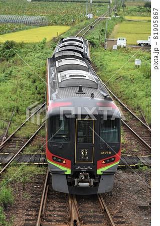 レンコン畑を行く特急うずしお号 81905867