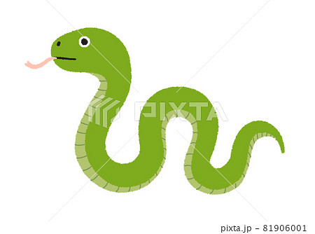 みどし 干支の巳年（へびどし）のイラストのイラスト素材 [81906001