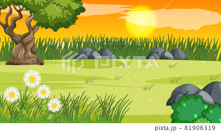 Blank landscape scene of nature park at sunset time Blank landscape scene of nature park at sunset time 81906319