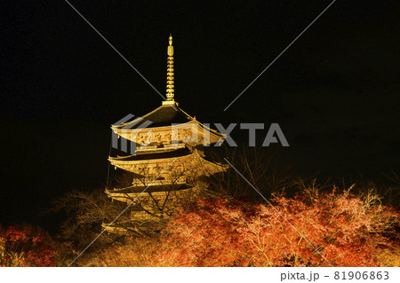 京都 東寺 紅葉ライトアップ 京都府京都市 夜間特別拝観の写真素材