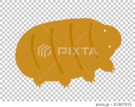 かわいいクマムシ／手書きイラストのイラスト素材 [81907055] - PIXTA