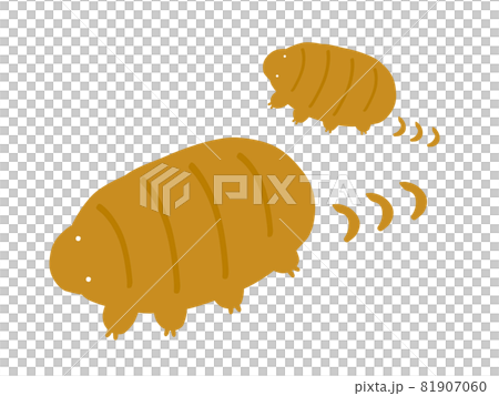 かわいい歩くクマムシ2匹/手書きイラスト かわいい歩くクマムシ2匹/手書きイラスト 81907060