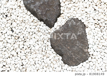 飛び石が置いてある和風の庭 81908149