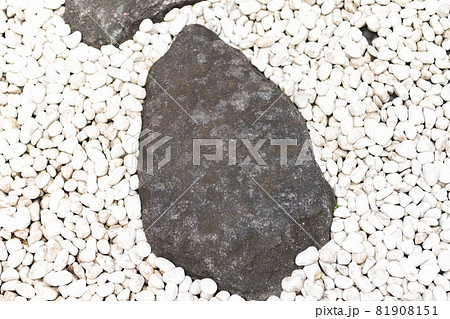 飛び石が置いてある和風の庭 81908151