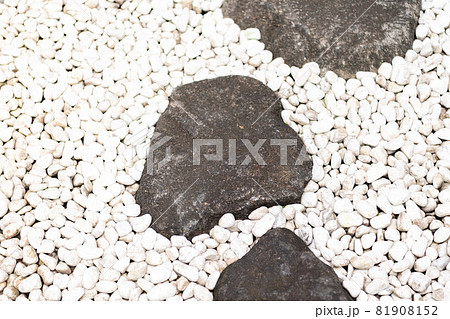 飛び石が置いてある和風の庭 81908152