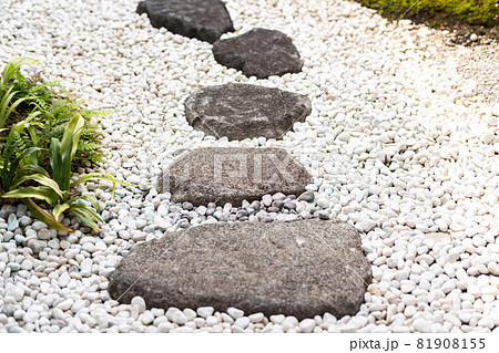 飛び石が置いてある和風の庭 81908155