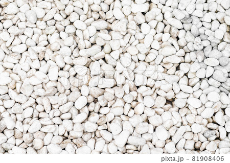 庭に敷き詰めた白い玉砂利の背景素材 庭に敷き詰めた白い玉砂利の背景素材 81908406