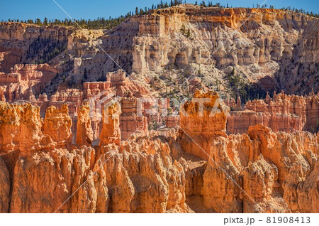 ブライスキャニオンの岩塔群 ブライスキャニオンの岩塔群 81908413