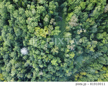 北海道の森林 空撮（中山峠周辺） 81910011