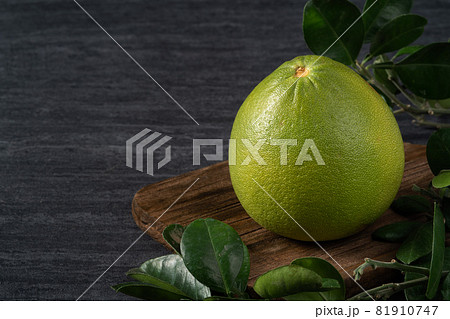 ユズ 柚 文旦 81910747