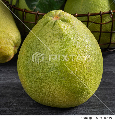 ユズ 柚 文旦 81910749