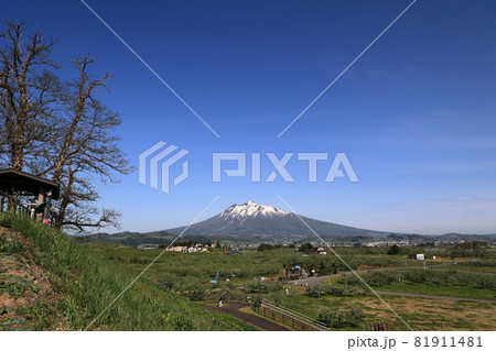 岩木山津軽の春風景 岩木山津軽の春風景 81911481