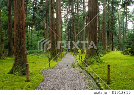 白山平泉寺 三宮への参道 白山平泉寺 三宮への参道 81912319