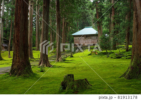白山平泉寺　拝殿と苔エリア 81913178