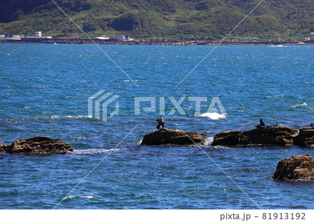 沿岸 海岸 水辺 81913192