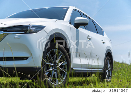 白色の自働車　SUV 81914047
