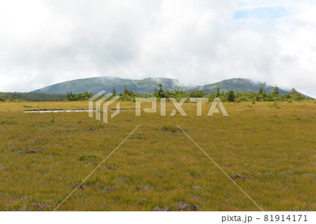 吾妻連峰 吾妻連峰 81914171