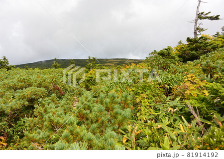 吾妻連峰 吾妻連峰 81914192