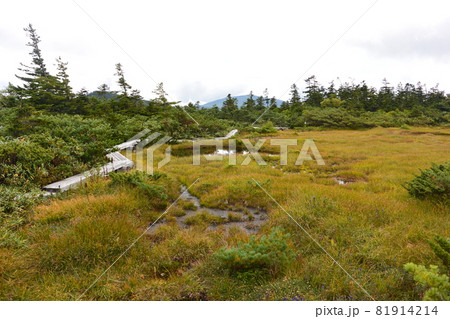 吾妻連峰 吾妻連峰 81914214