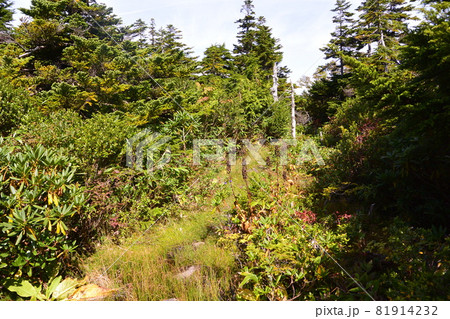 吾妻連峰 吾妻連峰 81914232