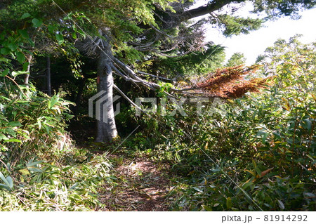 吾妻連峰 吾妻連峰 81914292