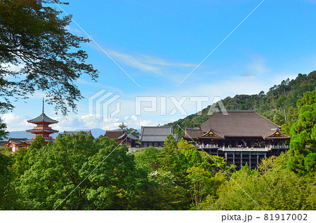 初秋の京都清水寺を子安塔から望む 初秋の京都清水寺を子安塔から望む 81917002
