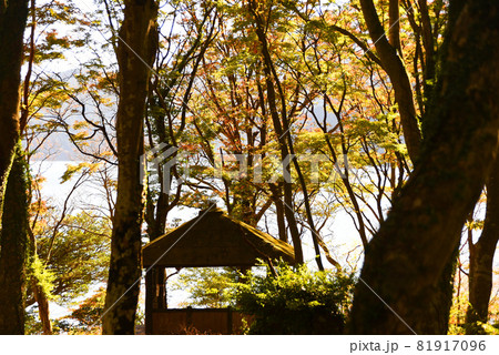 桃源台 湖畔ふれあい園地 桃源台 湖畔ふれあい園地 81917096