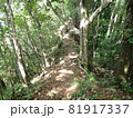 木漏れ日の登山道 81917337