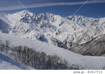 白馬八方尾根から望む白馬の峰々 81917714