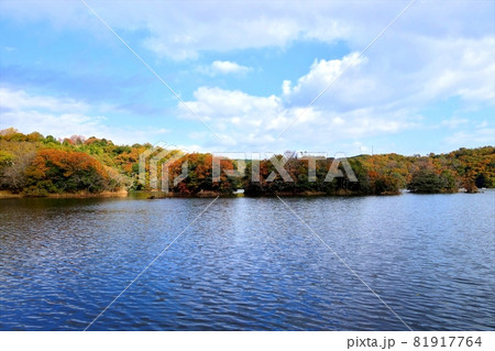紅葉 一碧湖 伊豆の瞳 森 湖畔 冬 紅葉 紅葉 一碧湖 伊豆の瞳 森 湖畔 冬 紅葉 81917764
