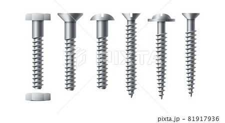 Bolt and screw. Realistic self-tapping. Metal nails with nut. Workshop assortment. Round or hexagon fastener caps. Isolated industrial construction hardware. Vector repair tools set 81917936