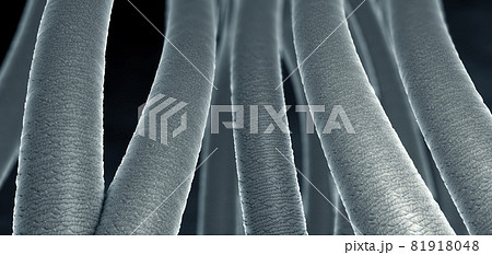Closeup on the surface of hair - 3d illustration 81918048