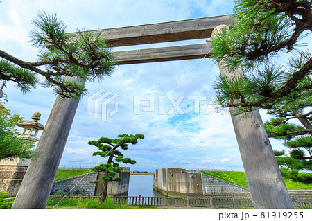 桑名市　七里の渡跡の大鳥居（桑名七里の渡し公園） 81919255