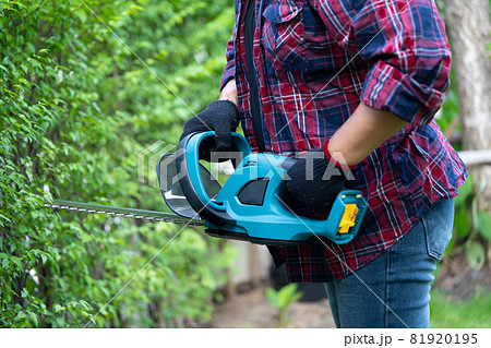 Gardener holding electric hedge trimmer to cut the treetop in garden. Hobby planting home garden. 81920195