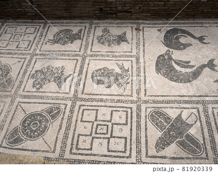 old ancient ostia archeological ruins bath complex mosaic 81920339