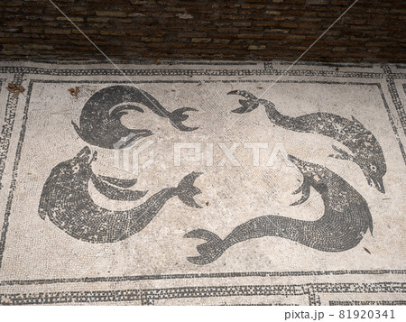 old ancient ostia archeological ruins bath complex mosaic 81920341