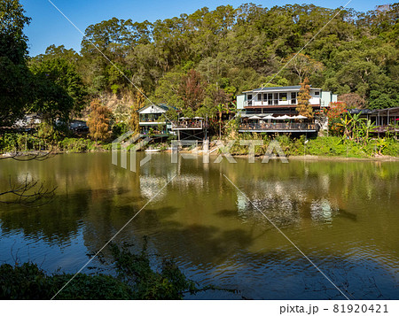 landscape of checheng timber pond, nantou, taiwan 81920421